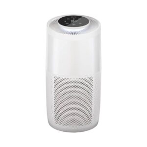 HEPA Air Purifier with Plasma Ion