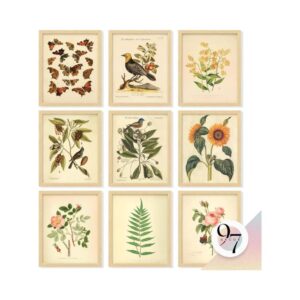 Vintage Botanical Wall Art Set, 8x10"" Unframed